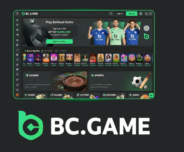 Explore the World of BC.Game Online Platform A Comprehensive Guide